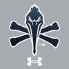 Myrtle Beach Pelicans Under Armour Gray Pirate Tech Hood