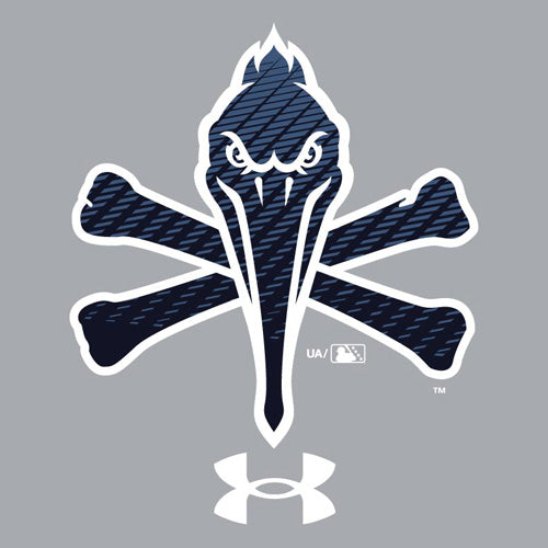 Myrtle Beach Pelicans Under Armour Gray Pirate Tech Hood
