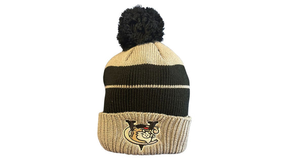 ValleyCats - beanie hat