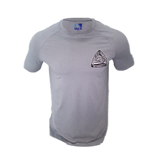 NE Men's grey raglan tech tee