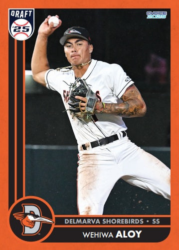 Delmarva Shorebirds 2025 Team Set