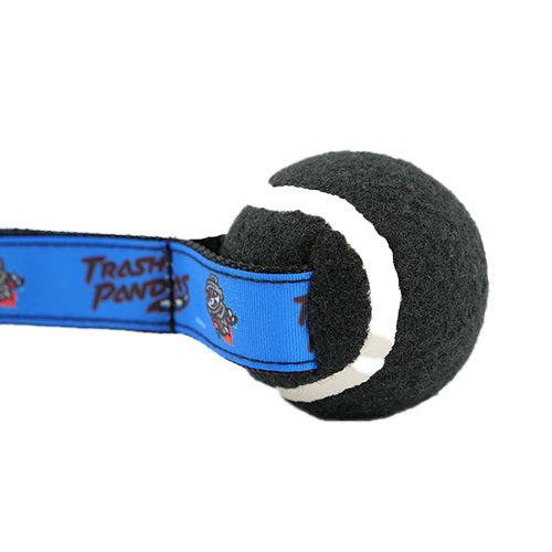 Dog Tennis Ball Toy