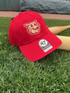 Lehigh Valley IronPigs 47 Brand Fauxback Clean Up