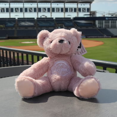 Tampa Tarpons Pink Bear