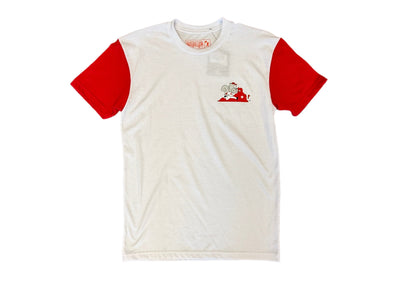 Richmond Flying Squirrels Baseballism Fauxback Tee