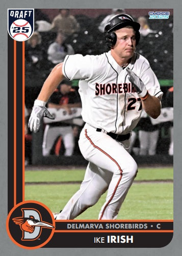 Delmarva Shorebirds 2025 Team Set