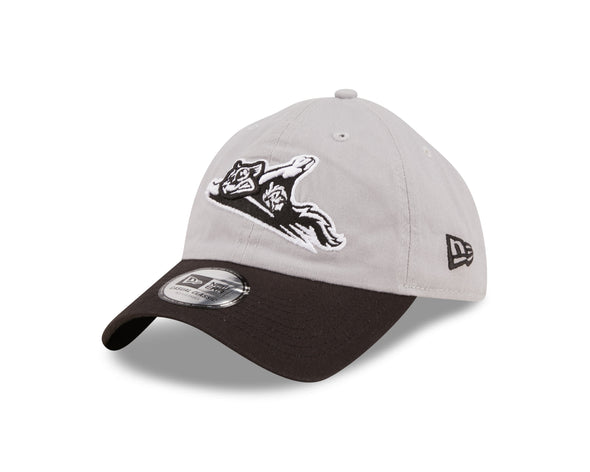 Richmond Flying Squirrels Youth Gray Team Casual Classic Cap