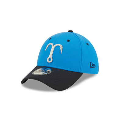 Tampa Tarpons AC 3930-ALT Hat