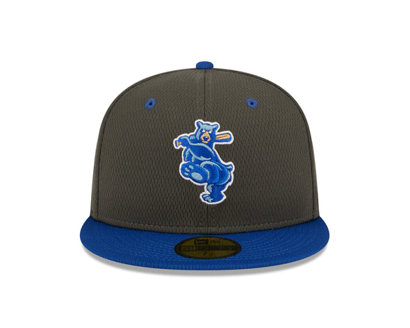 Smokies Official BP Cap