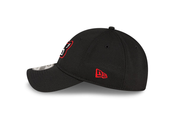 Richmond Flying Squirrels New Era BP 9Twenty