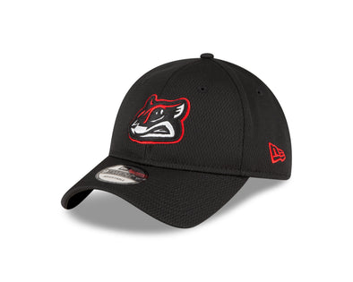 Richmond Flying Squirrels New Era BP 9Twenty