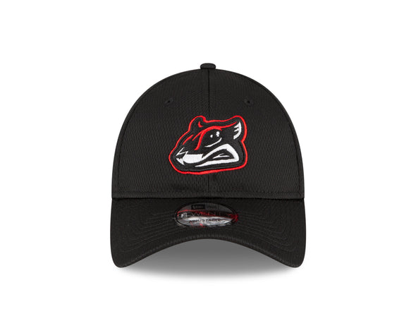 Richmond Flying Squirrels New Era BP 9Twenty