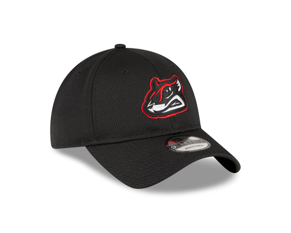 Richmond Flying Squirrels New Era BP 9Twenty