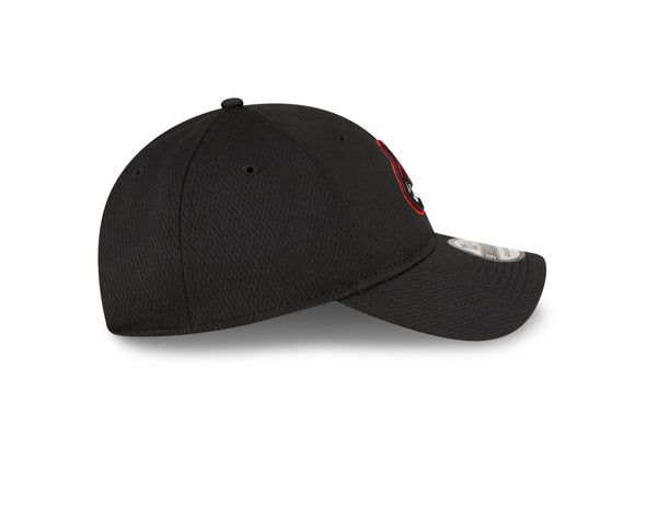 Richmond Flying Squirrels New Era BP 9Twenty