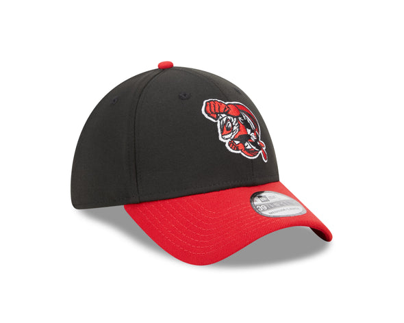 Richmond Flying Squirrels Marvel’s Defenders of the Diamond New Era 39THIRTY Cap