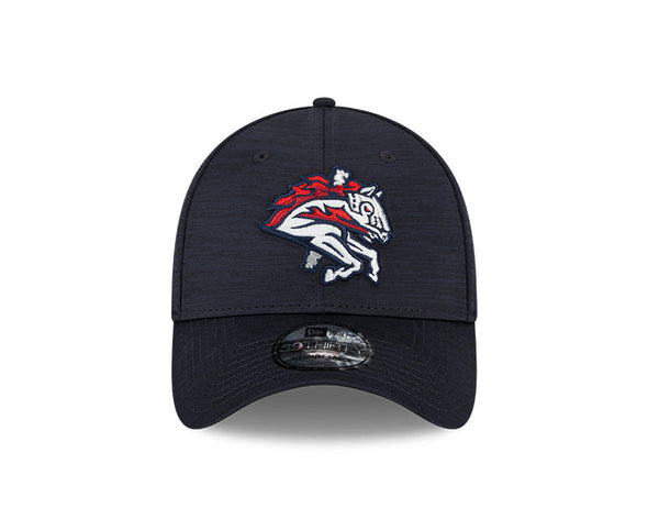 BRP New Era 39THIRTY STRETCH FIT Home Hat w/Carousel Horse logo