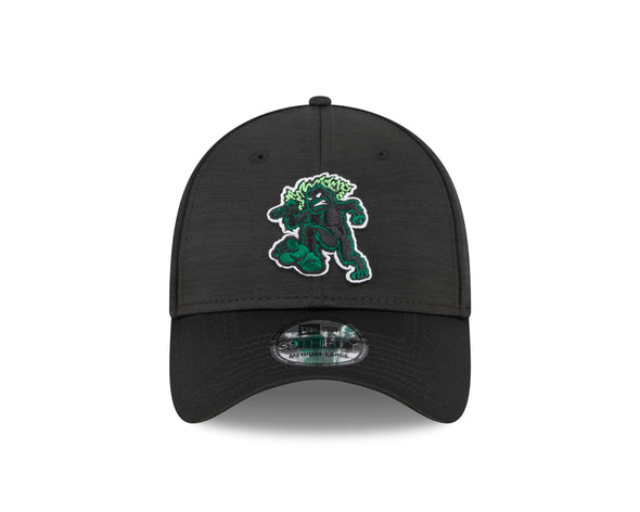 Eugene Emeralds New Era Home 39THIRTY Cap