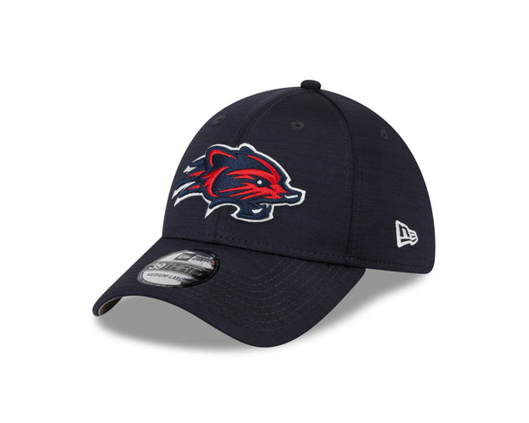 New Hampshire Fisher Cats Youth 2024 Alt 1 3930