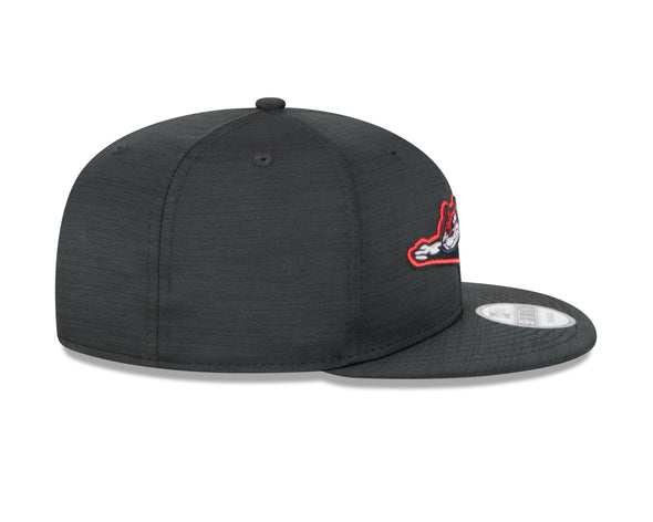 Richmond Flying Squirrels New Era 2023 Clubhouse 9Fifty Snapback Cap