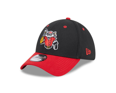 Erie SeaWolves NEC Marvel DOD Black 39THIRTY