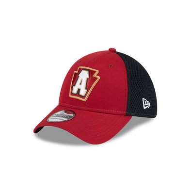 Altoona Curve 39THIRTY