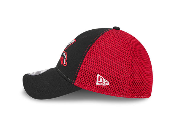 Richmond Flying Squirrels New Era 39Thirty Team Neo