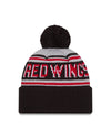 Rochester Red Wings Knit Striped Cap