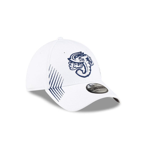 Jacksonville Jumbo Shrimp New Era Youth Active White 39Thirty