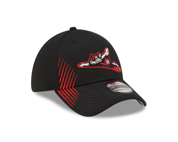 Richmond Flying Squirrels New Era Active 39Thirty