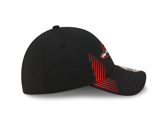 Richmond Flying Squirrels New Era Active 39Thirty