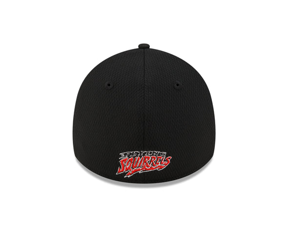 Richmond Flying Squirrels New Era Active 39Thirty