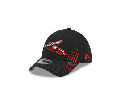 Richmond Flying Squirrels New Era Youth Active 39Thirty Cap