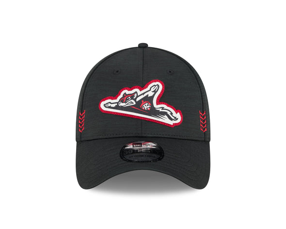 Richmond Flying Squirrels New Era 2024 Clubhouse Collection 39Thirty Cap