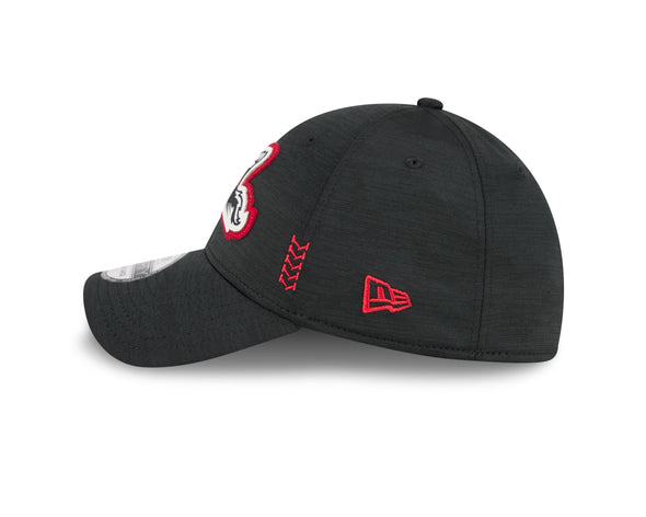 Richmond Flying Squirrels New Era 2024 Clubhouse Collection 39Thirty Cap