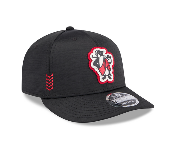 Rome Emperors Clubhouse 9FIFTY Low Profile Snapback
