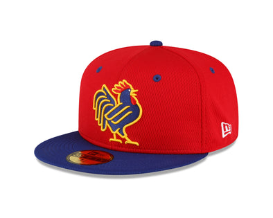 59Fifty Naturals Onfield Batting Practice Cap