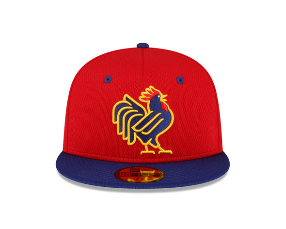 59Fifty Naturals Onfield Batting Practice Cap