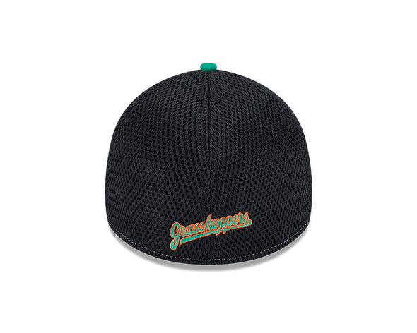 New Era 39THIRTY Neo Cap