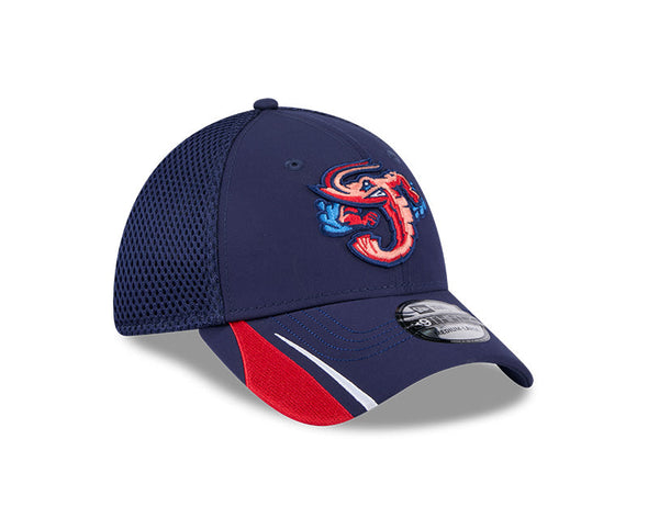 Jacksonville Jumbo Shrimp New Era OTC Linear 39Thirty