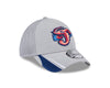 Jacksonville Jumbo Shrimp New Era Gray Linear 39Thirty