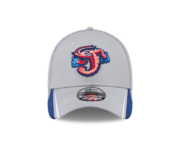 Jacksonville Jumbo Shrimp New Era Gray Linear 39Thirty