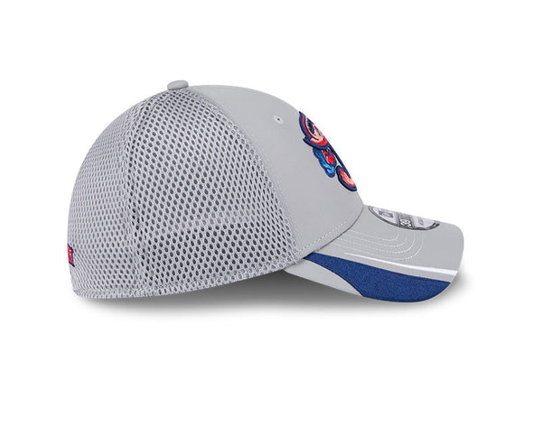 Jacksonville Jumbo Shrimp New Era Gray Linear 39Thirty