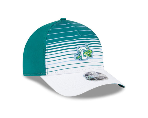 GRADIENT SNAPBACK