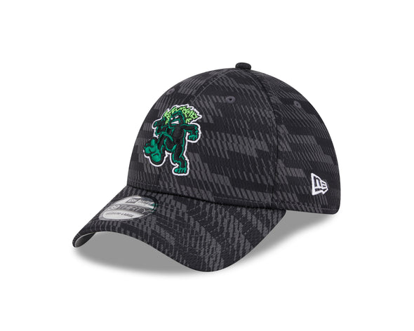 Eugene Emeralds New Era Home 39THIRTY Clubhouse Collection