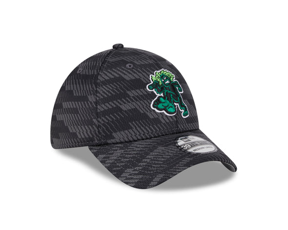 Eugene Emeralds New Era Home 39THIRTY Clubhouse Collection