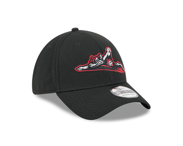 Richmond Flying Squirrels New Era Primary 39Thirty