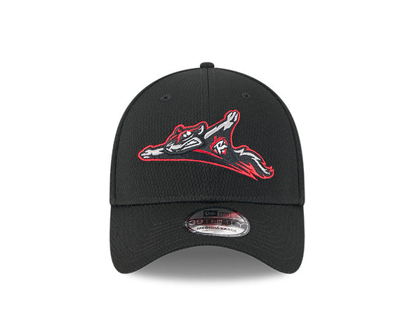 Richmond Flying Squirrels New Era Primary 39Thirty