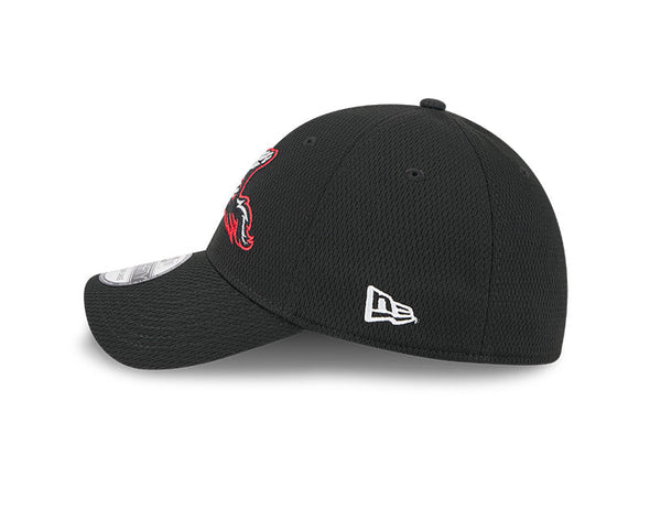 Richmond Flying Squirrels New Era Primary 39Thirty