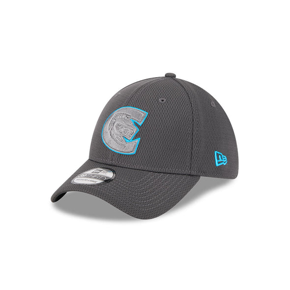 Charlotte Knights 2025 Evergreen 39THIRTY