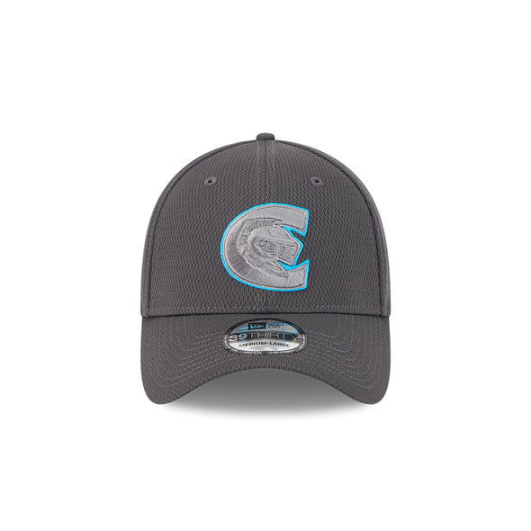 Charlotte Knights 2025 Evergreen 39THIRTY